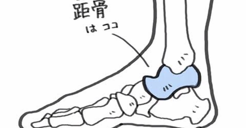 身体の歪みは足首から かめじゅん Note