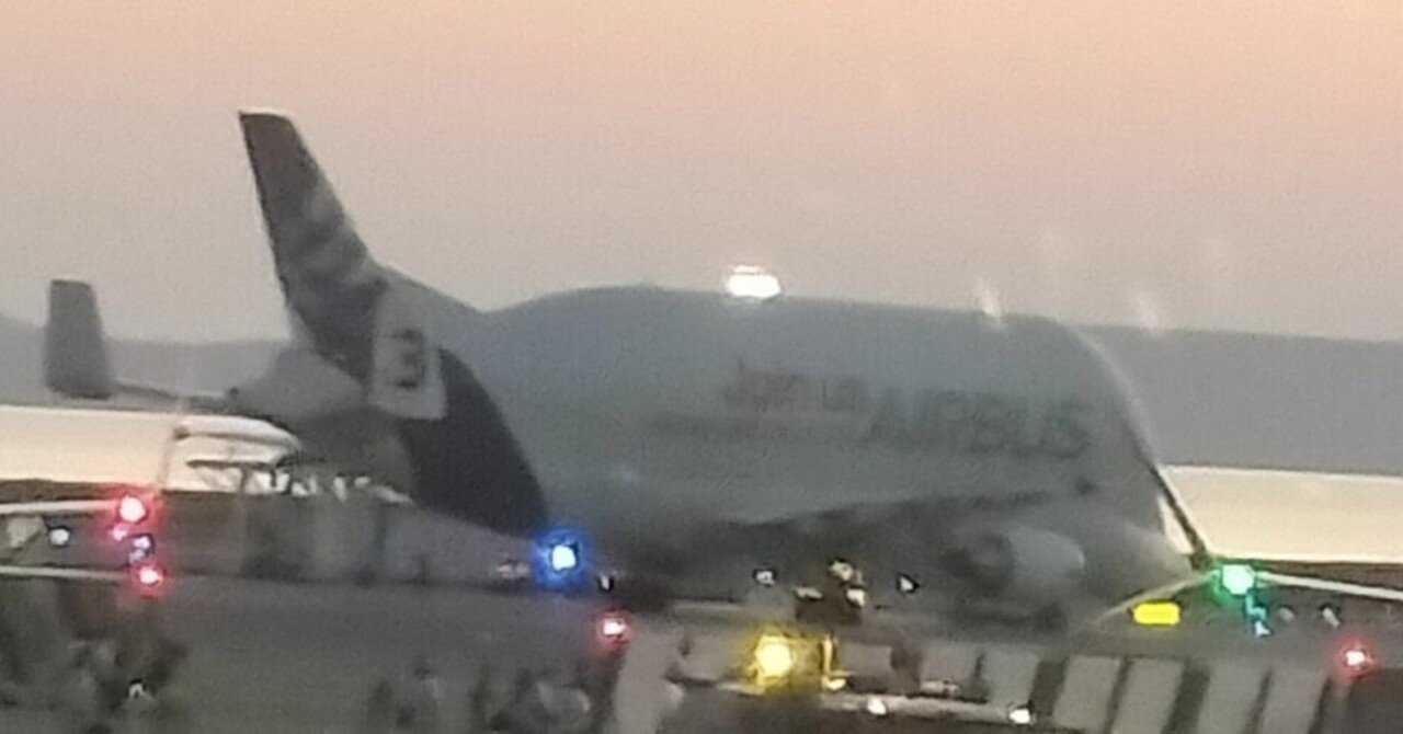 ベルーガ グッピー エアバス｜高雄一史 (taka) ossu