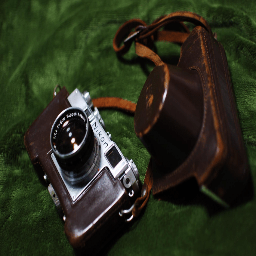 Nikon Sマウント→Zマウント変換アダプターへの挑戦 【作例】｜Kodai