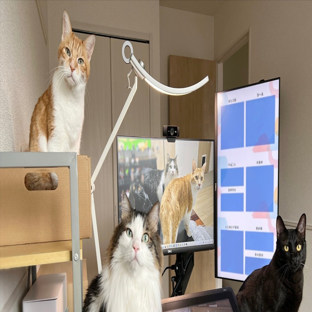 新品 BenQ WiT Eye-care AR15_D LEDデスクライト 機能美とデザイン性が同居するミニマルなLEDデスクライト『WiT