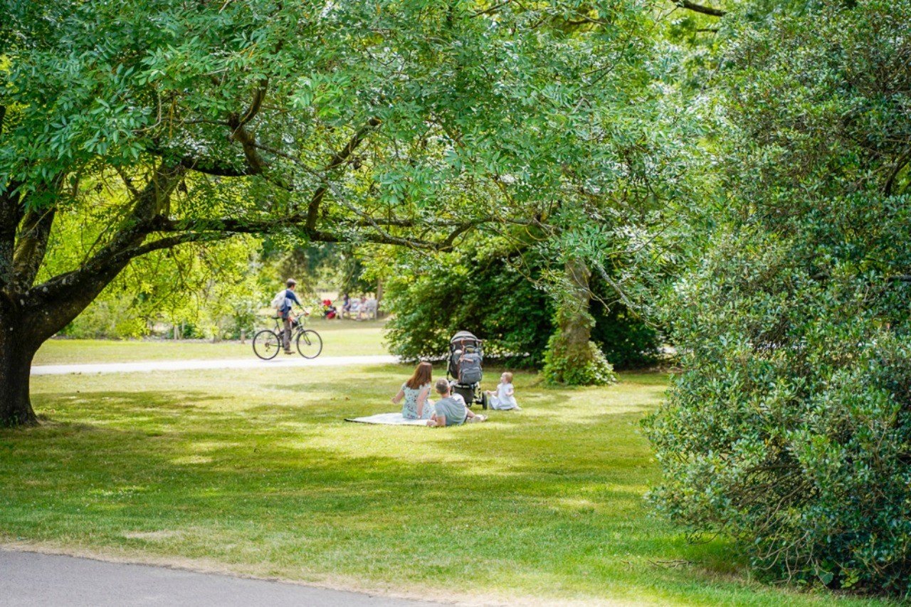 英国王立植物園 キューガーデンが好きすぎて 何度行っても感動してしまう Reading Mug Note
