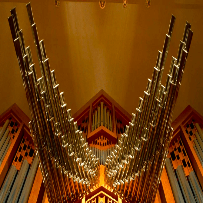 パイプオルガン　リード　34本 パイプオルガン リード 34本 パイプオルガン リード 34本 Amazon