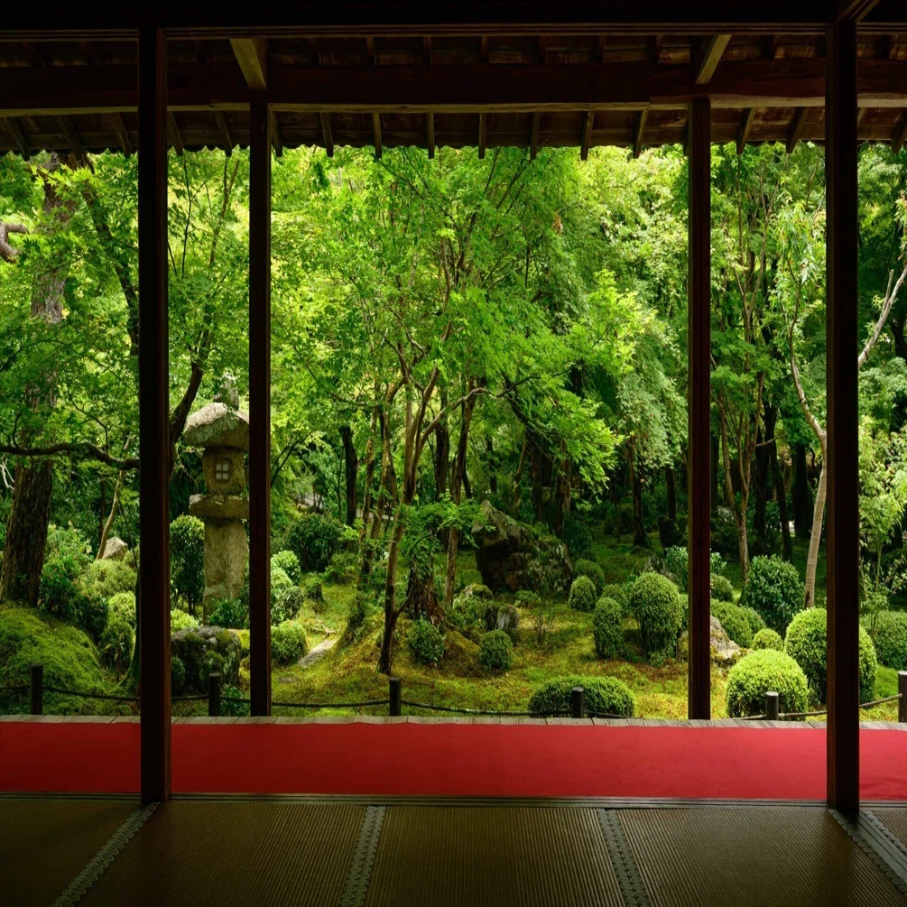 真夏の京都で古都の風情撮影（後編）｜風景の物語を紡ぐ写真家カズ