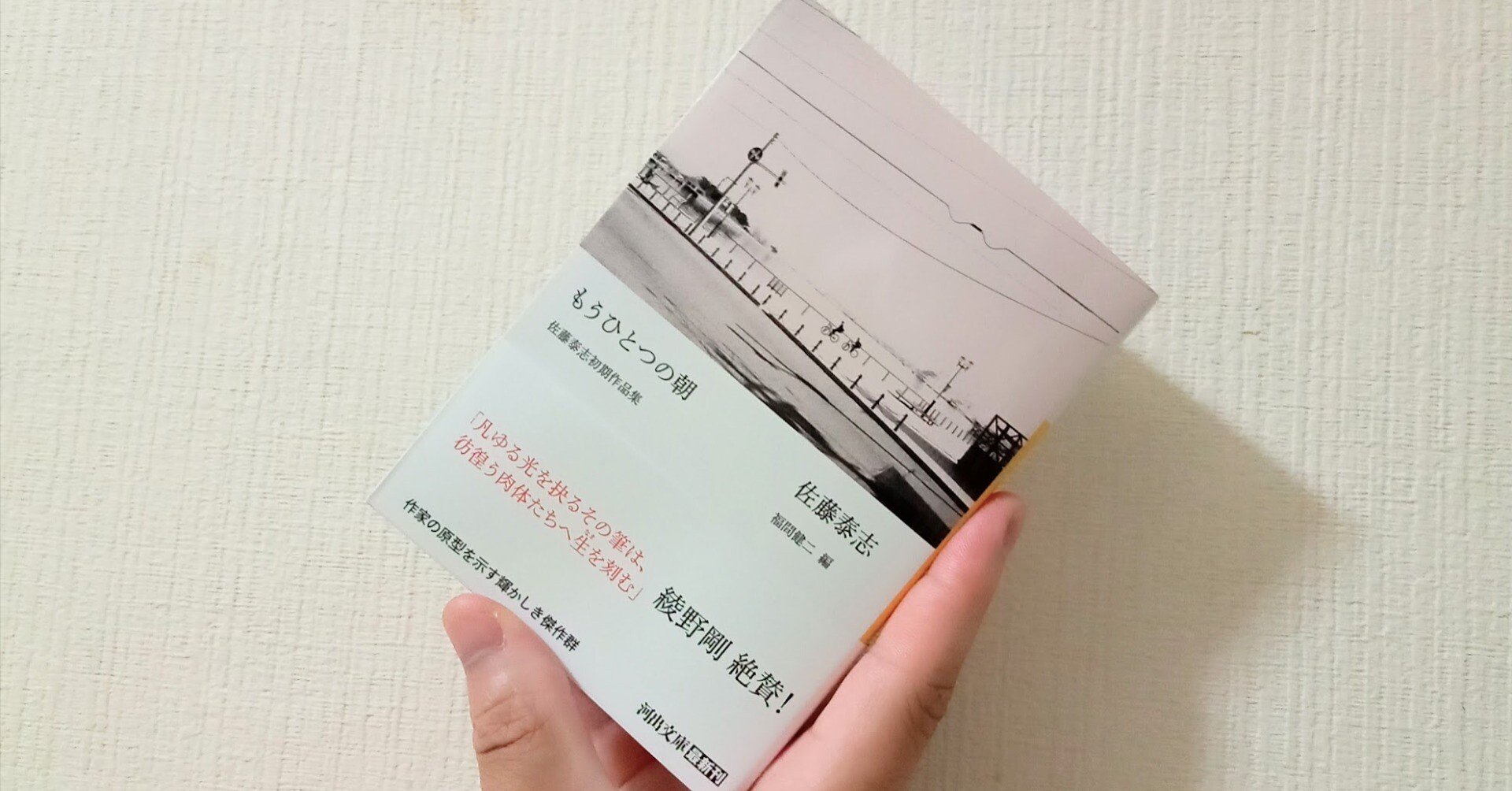 8d0d989900cffa7cf50593216cb1b3