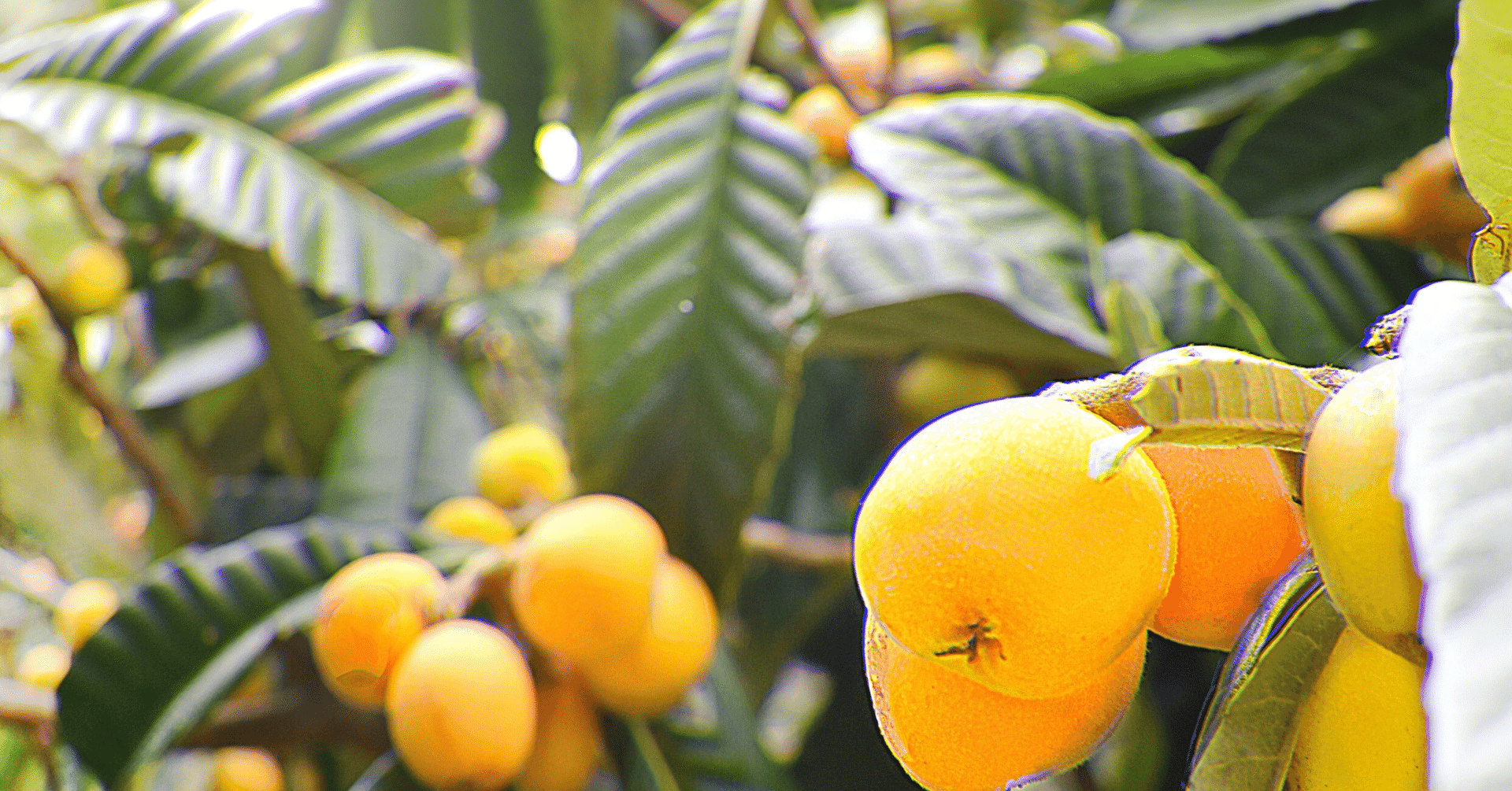 ヤフオクの話～取引が遅く、受取評価をしない人｜結花ノワール