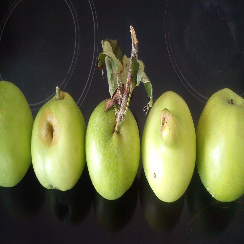 イギリスのりんご事情 / ブラムリーズ・シードリングについて/ りんご