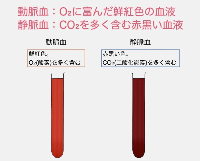 ほんとに真似しないで 血液クレンジングや芸能人のpr商品 Shirai Mizuki Note ほんとに真似しないで 血液クレンジングや芸能人のpr商品 Shirai Mizuki Note