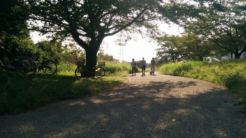 自意識と夢 Peter Godfrey Smith Other Minds The Octopus And The Evolution Of Intelligent Life Shimamura T Note