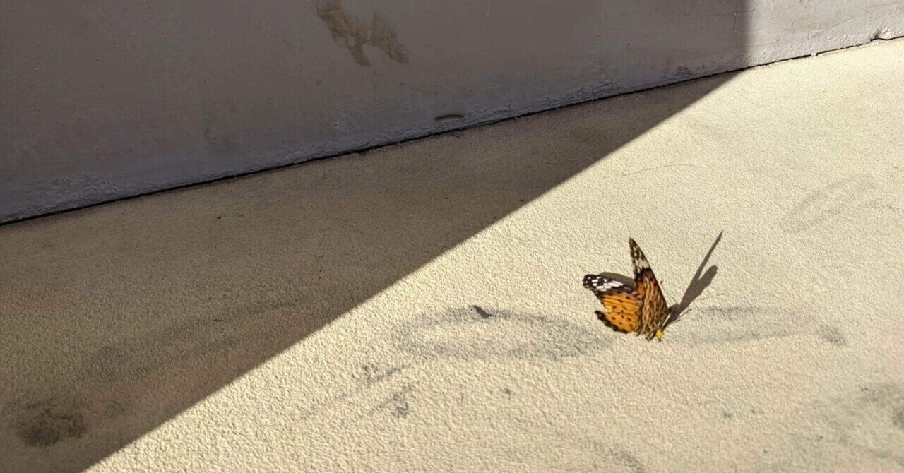 サンショウウオの四十九日』朝比奈秋｜蓮水