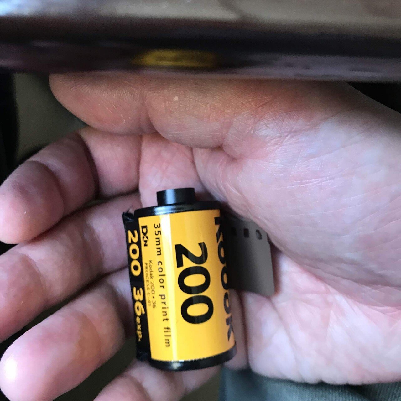 フィルムを感光させてしまうと、記憶も消え失せる。｜おしゃま