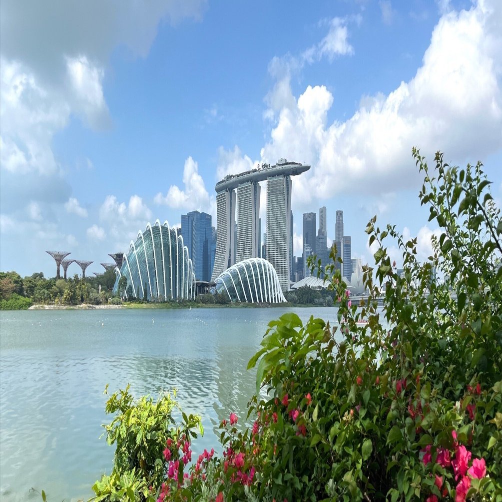 マリーナベイサンズ12景で、シンガポール🇸🇬旅気分をおすそ分け｜わん吉