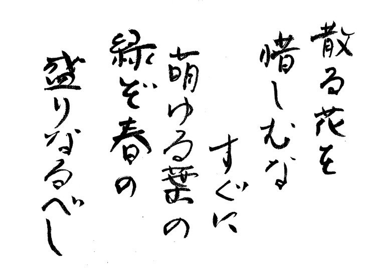 筆ペンなぐり書きによる適当短歌シリーズ。個人的には桜は葉の季節の方が好き（虫はともかくとして）。桜餅おいしいし。道明寺もおいしいし。