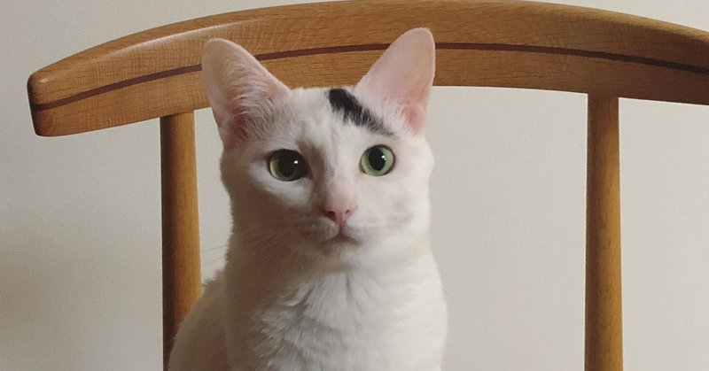 人は皆 動物が可愛い 好きと思うのは間違いだ オゼキカナコ Note