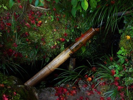 京都紅葉ガイド 詩仙堂編 リアル絵tシャツ屋さん Note