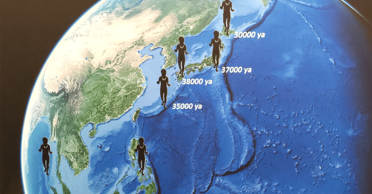 小さな展示で壮大なスケール感に浸る『海の人類史-パイオニア
