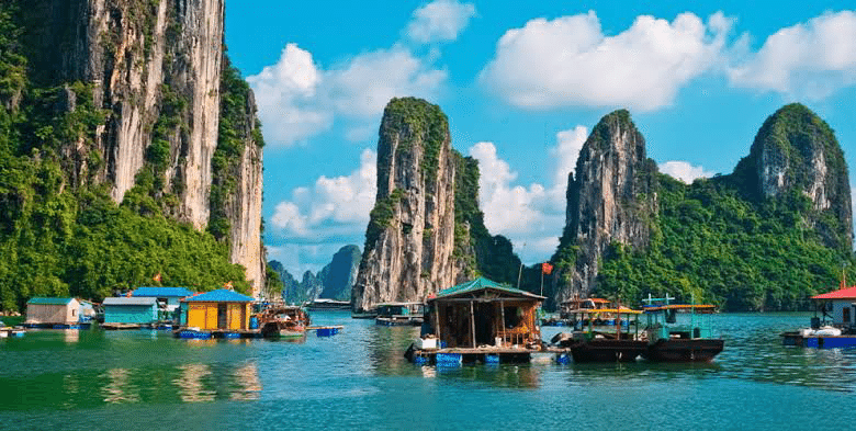 ベトナム🇻🇳 世界遺産ハロン湾ツアーはこんな感じ🛳️｜Naoki Nozawa