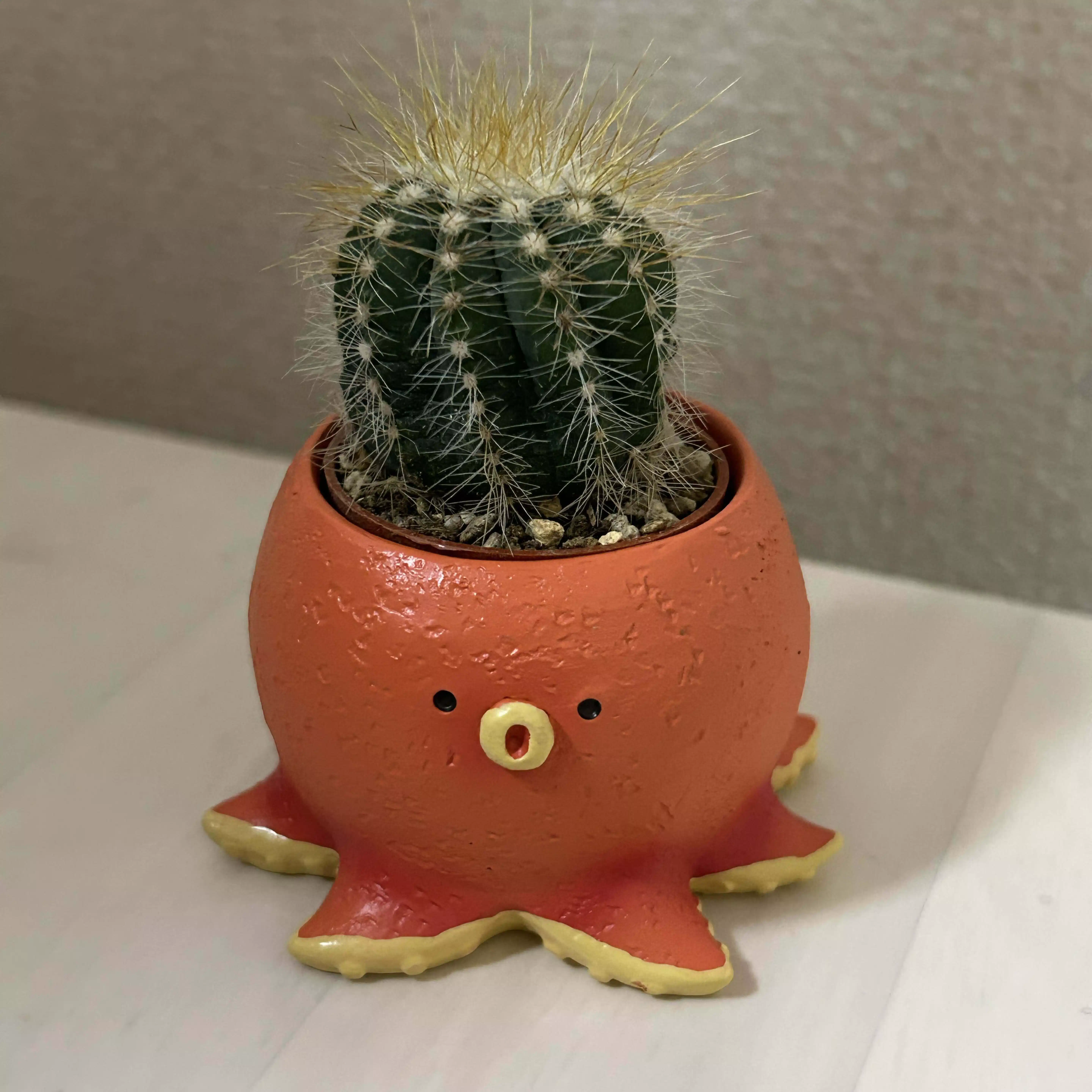 あずきちゃん