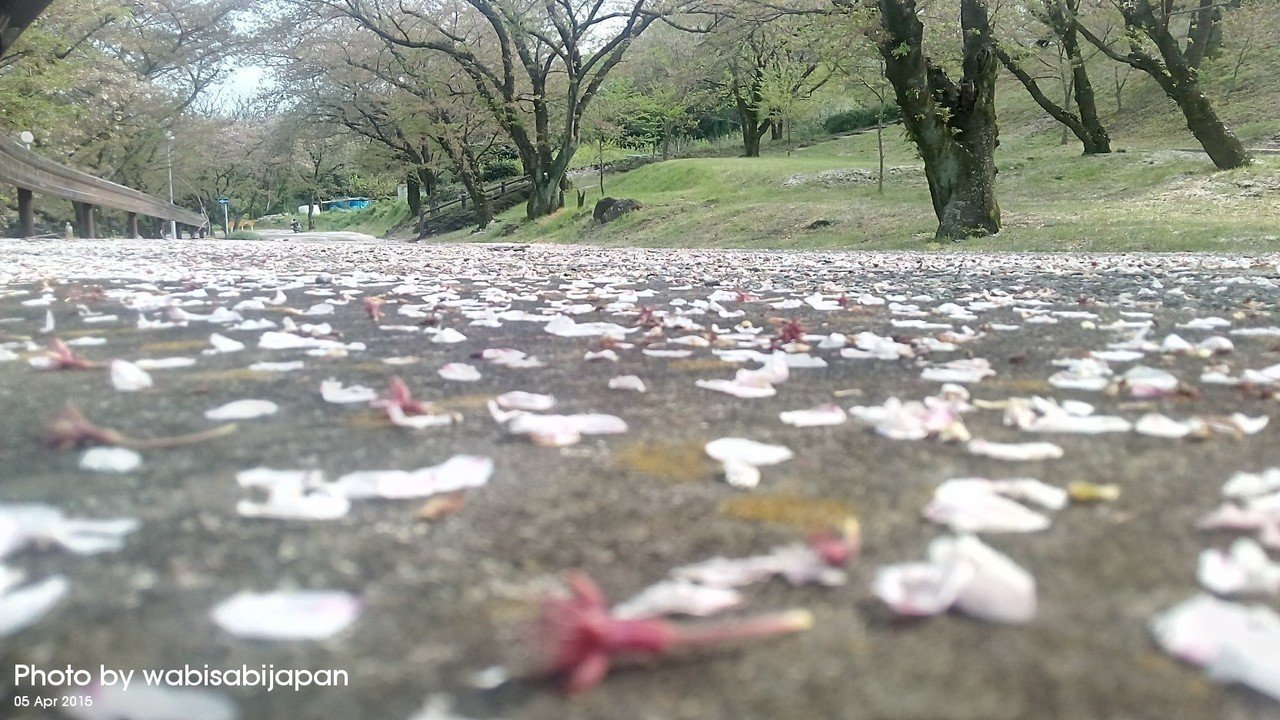 桜の絨毯 Wabisabijapan ソフトクリームが溶けてしまわぬうちに Note