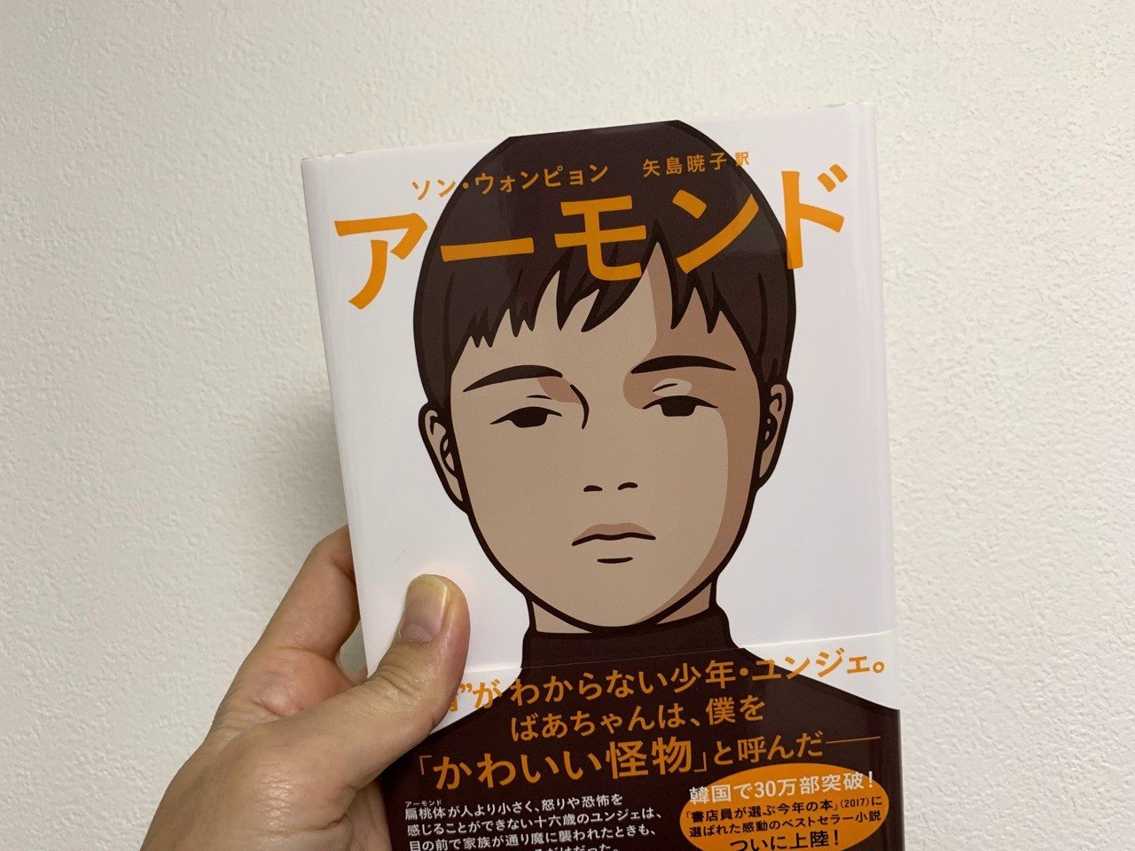 韓国発 悪童日記 が問う愛と倫理 アーモンド 高井浩章 Note