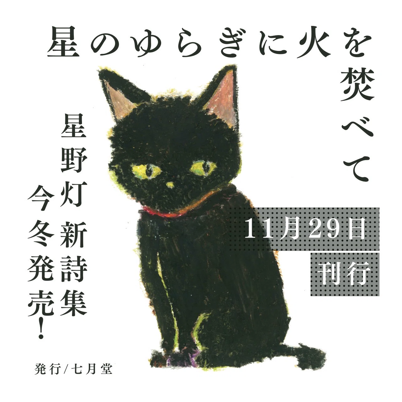 原画☆キャンバス F10【夜、黒猫が星を抱いて願い事をする】 Amazon.co.jp: ZZPT ゴッホ ウォールアート - 星月夜 猫 キャンバス