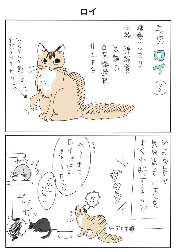 新作マンガ追加】うちの4猫|ヤチナツ|note