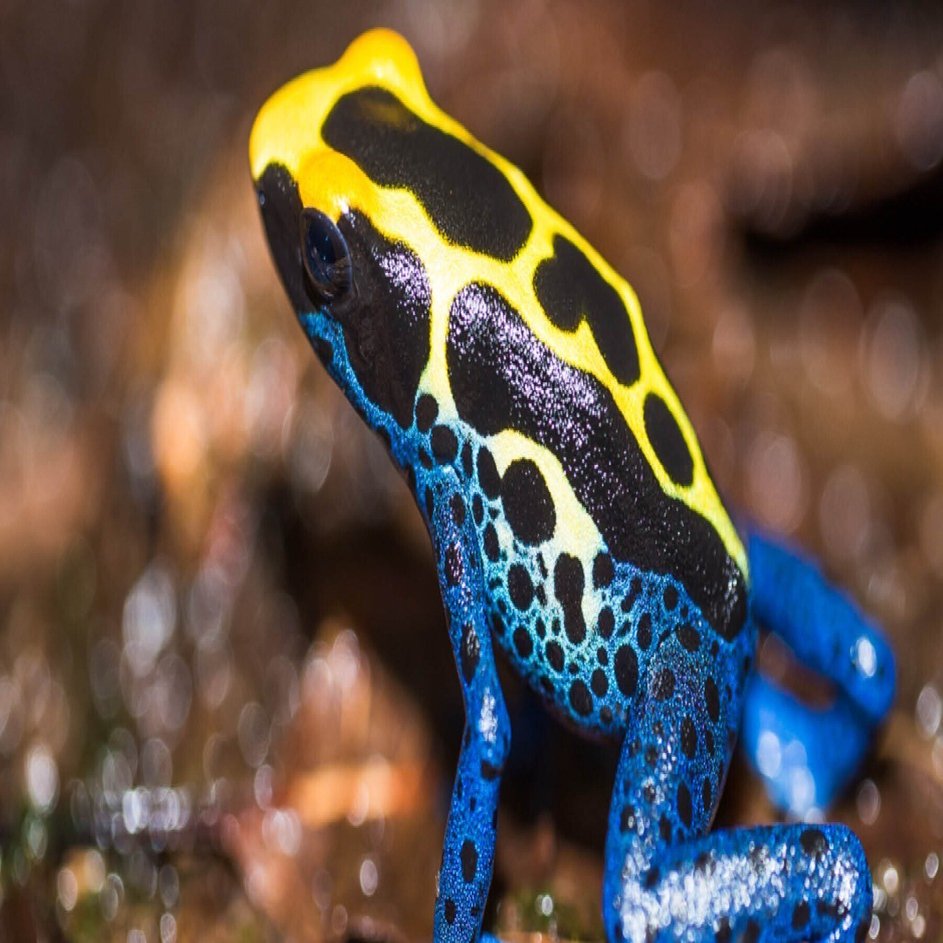 毒の話｜Yutaka, image size:1802x943