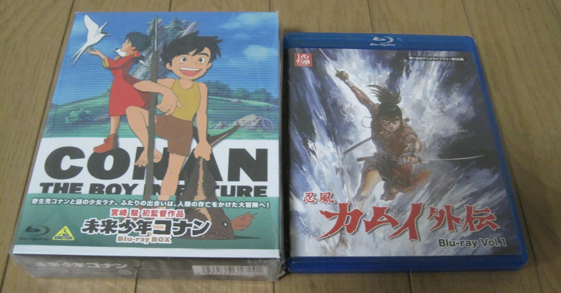 宮崎駿監督のアニメ「未来少年コナン」レビュー「『ひとでなし』の最期斯くあるべし」｜むらさめ