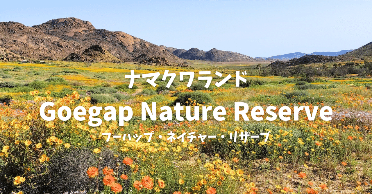 春のナマクワランドでワイルドフラワーウォッチング🌼フーハップ自然