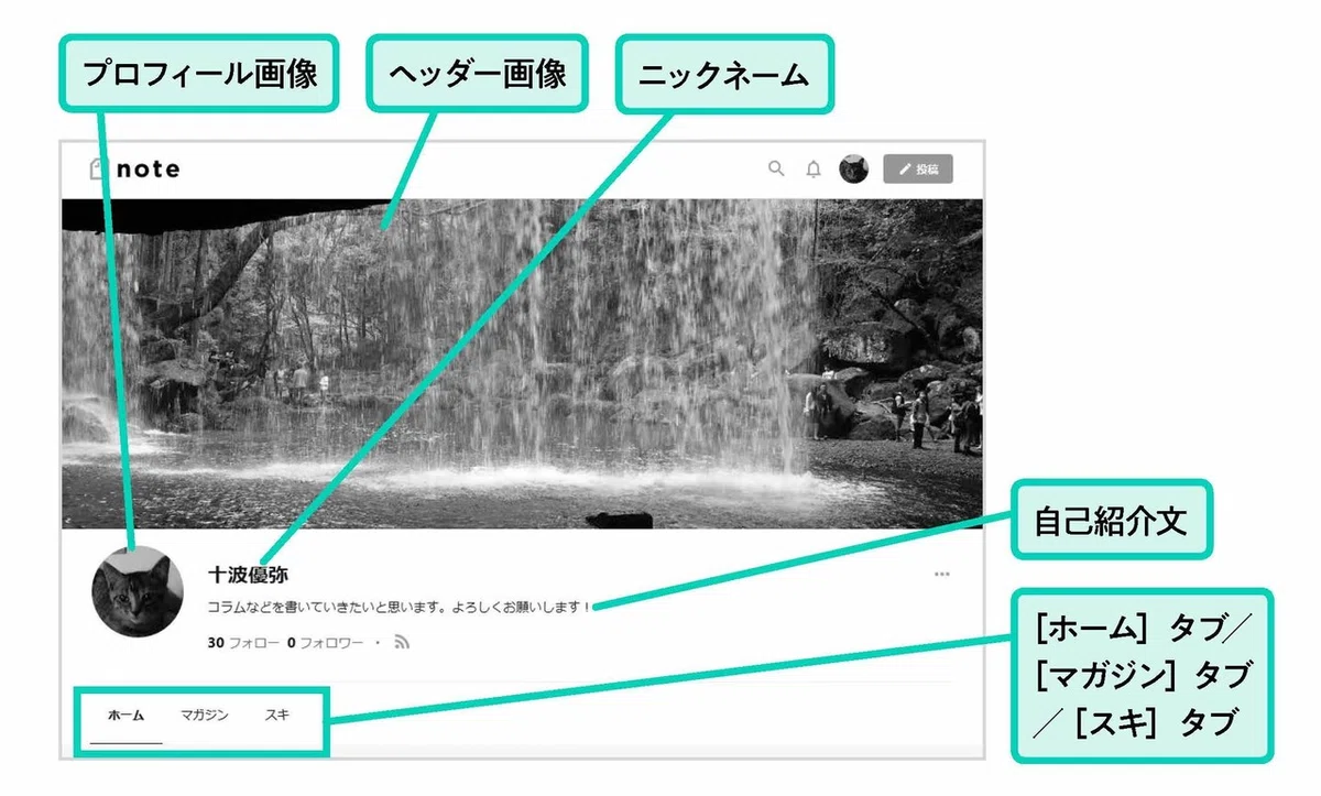 画像4