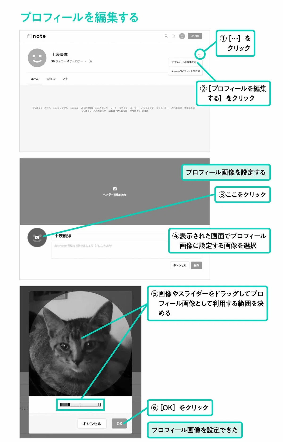 画像7