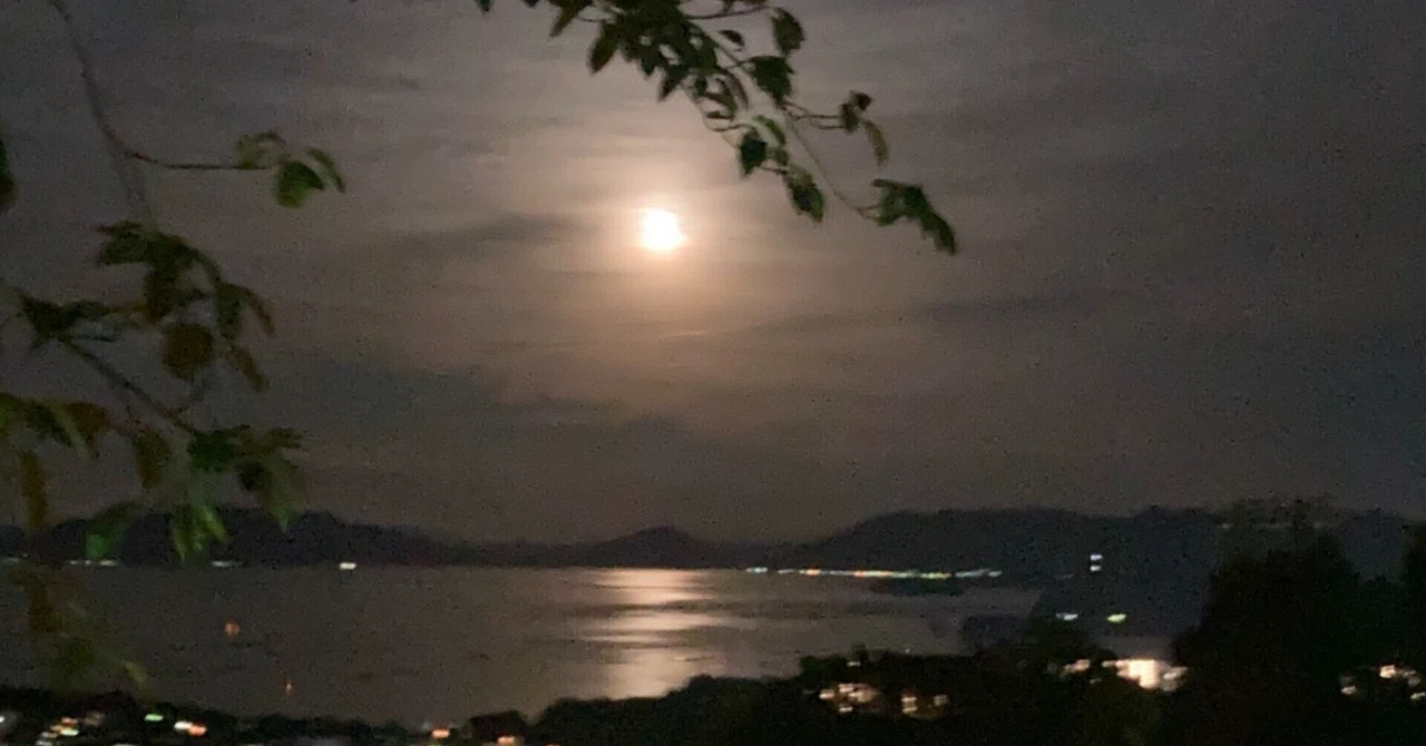 9月（長月）の幸せ暦｜和流ルネッサンス倶楽部