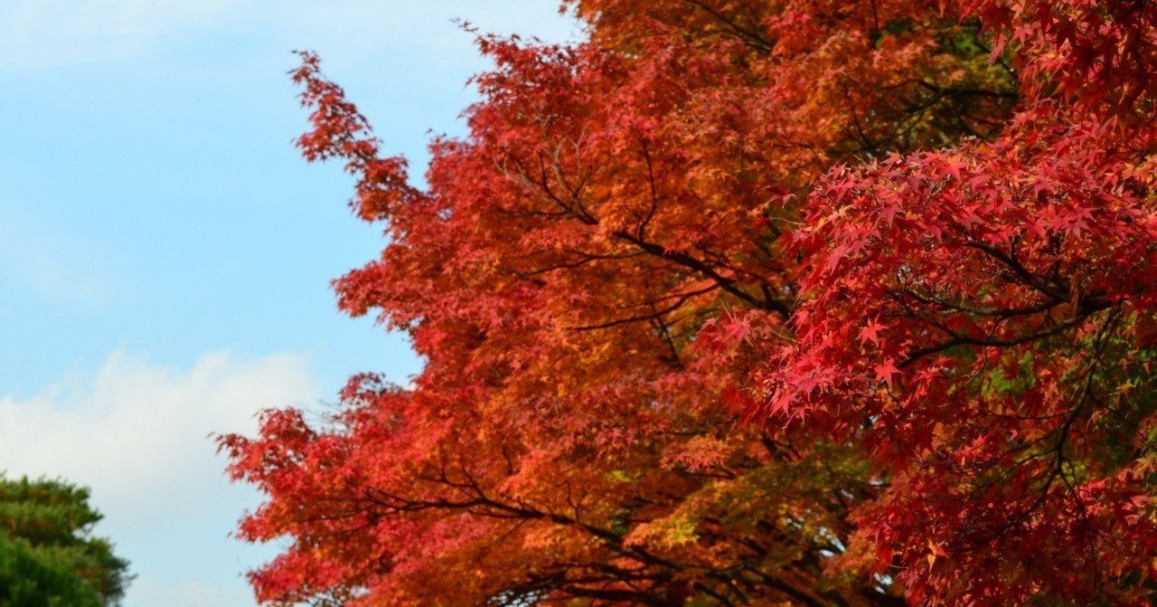 DeNAを退職しました