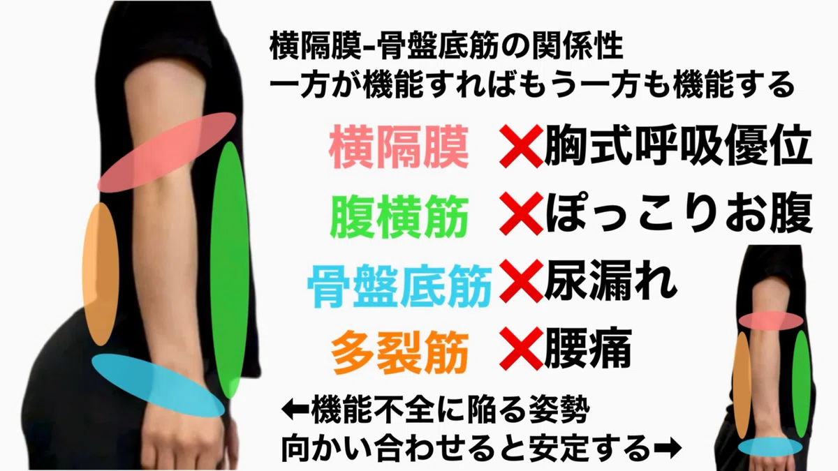 リブフレア(肋骨の出っ張り)が全身に与える悪影響&改善に必要な考え方|kotamasuda