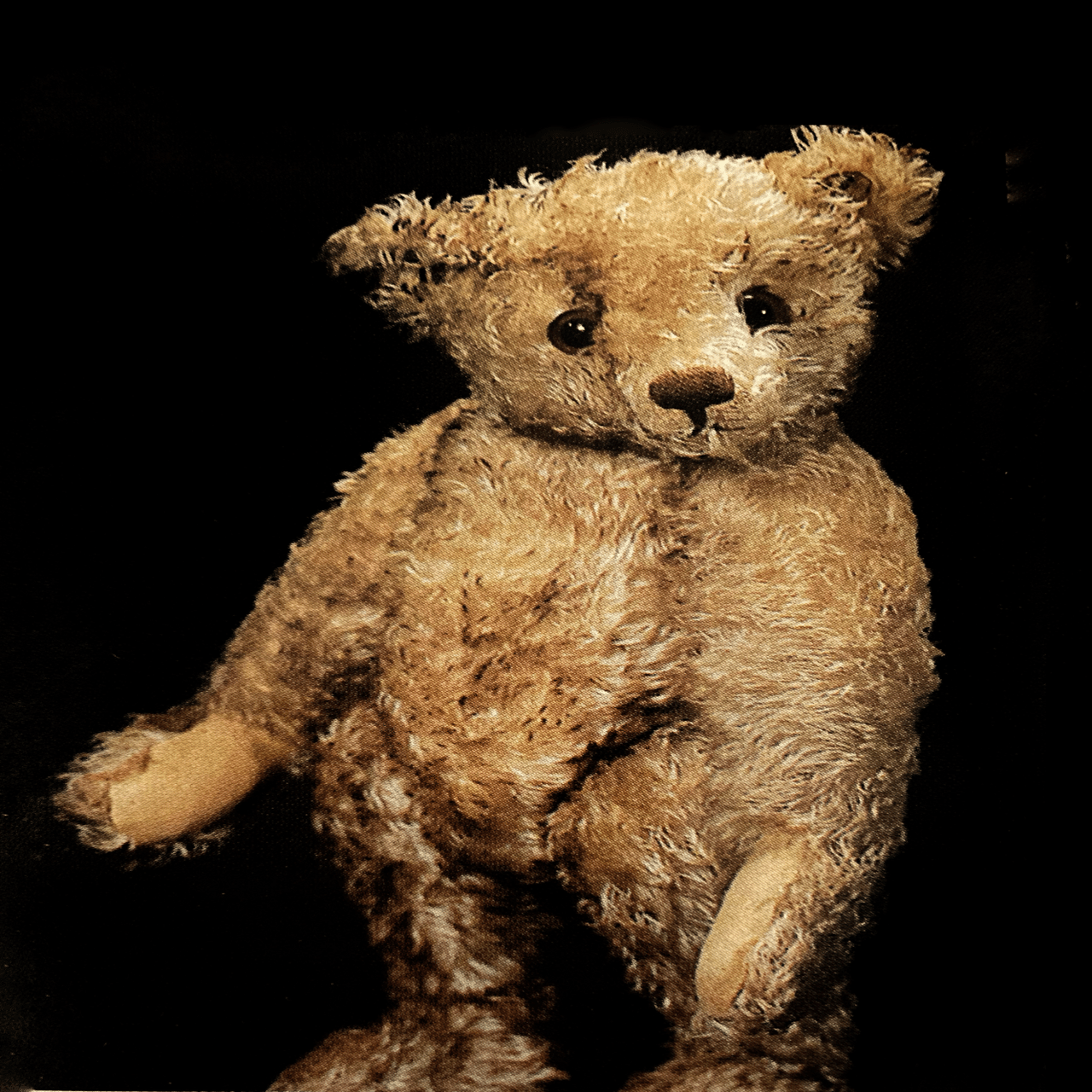 BBCニュース『テディベア専門店🇬🇧テディベア・オブ・ウィットニー