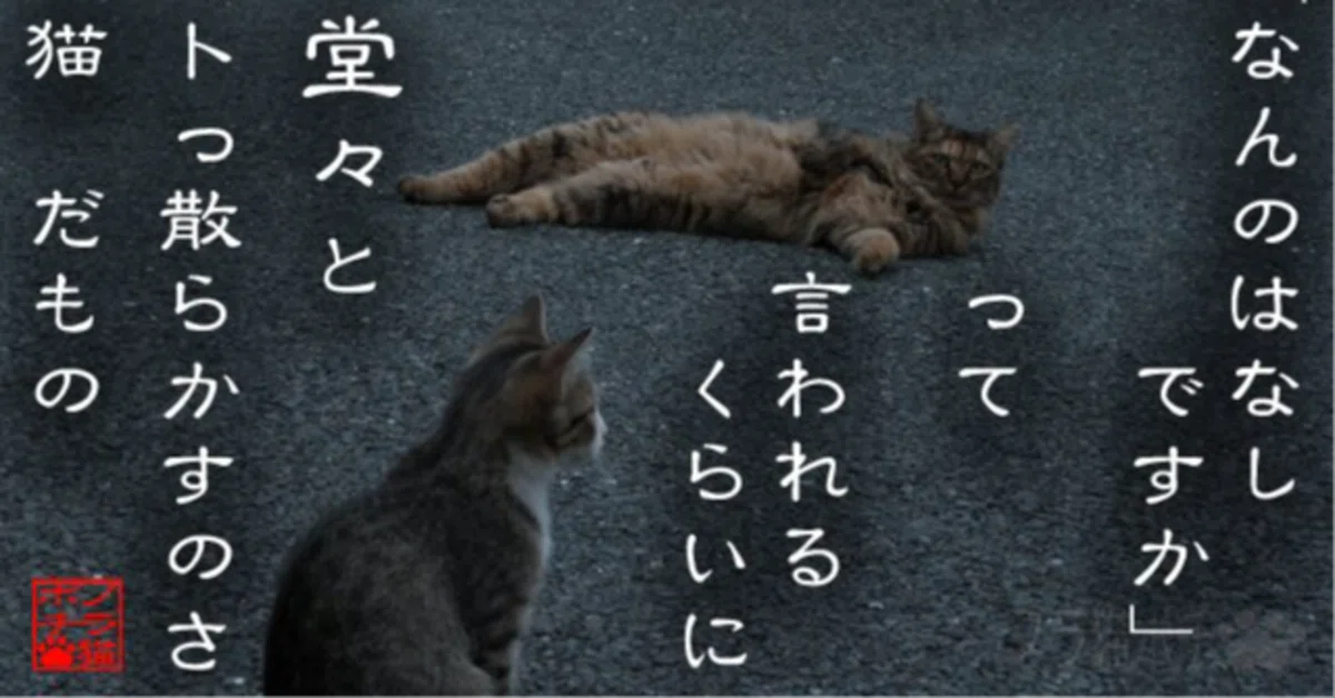 なんのはなしです課」通信 嚆矢の二十三通目｜コニシ木の子