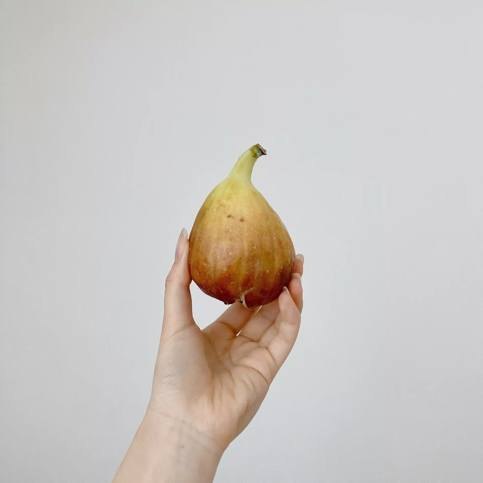 佑灯 ﾕｳ