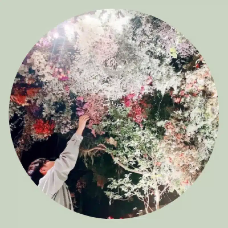 大森 翼｜TSUBASA OMORI