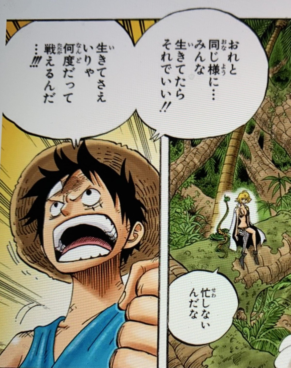 ONE PIECEは人生の教科書②〜逃げる〜｜山野 礁太 ライター／「ONE