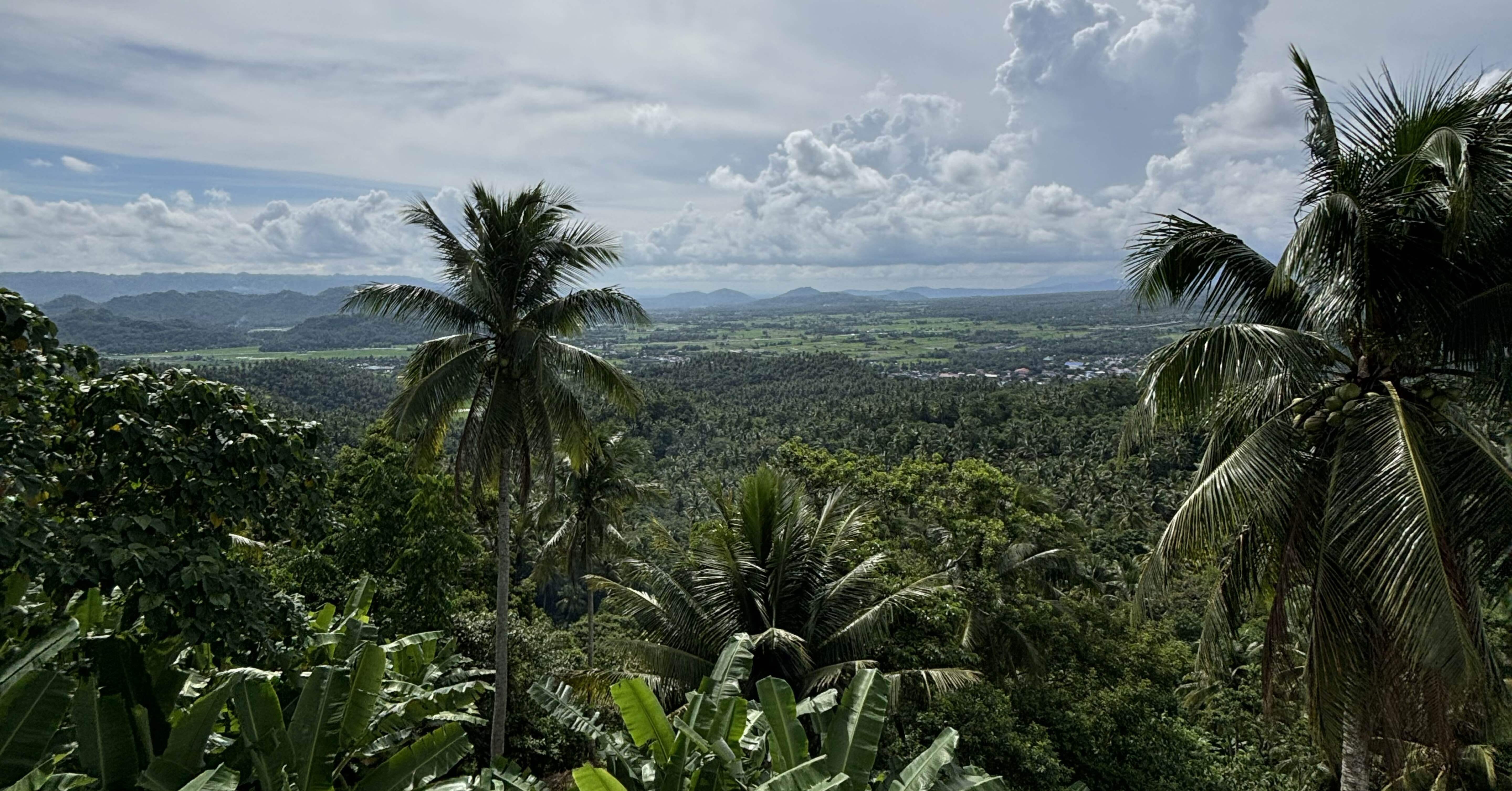 d2e6c685f35bf6cbb1653c5b2dea8f