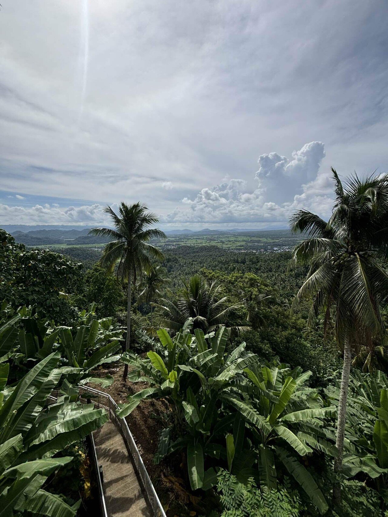 🇵🇭フィリピン・ルソン島🇯🇵 ジャングルだらけの森に🇯🇵Japanease