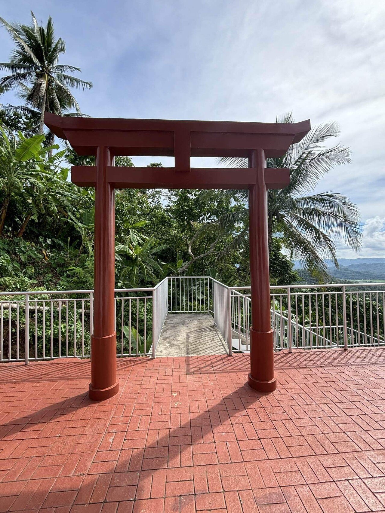 🇵🇭フィリピン・ルソン島🇯🇵 ジャングルだらけの森に🇯🇵Japanease