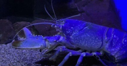 e39aec88c8ec67d5d8849c56f878f9 e39aec88c8ec67d5d8849c56f878f9