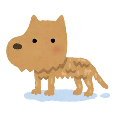 じんじろ