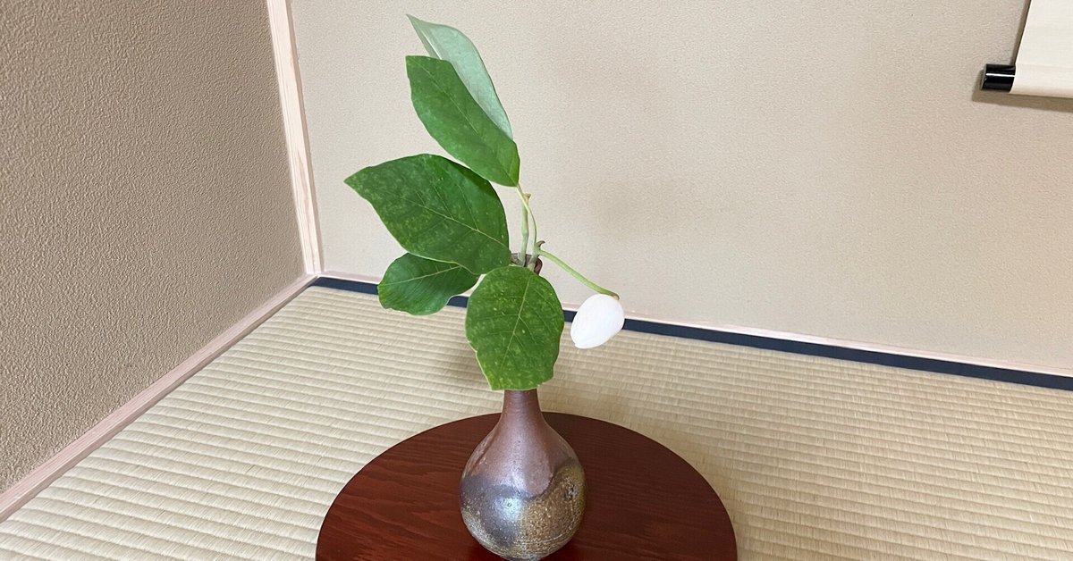 茶花と花入れ｜カワカミ ユキヲ