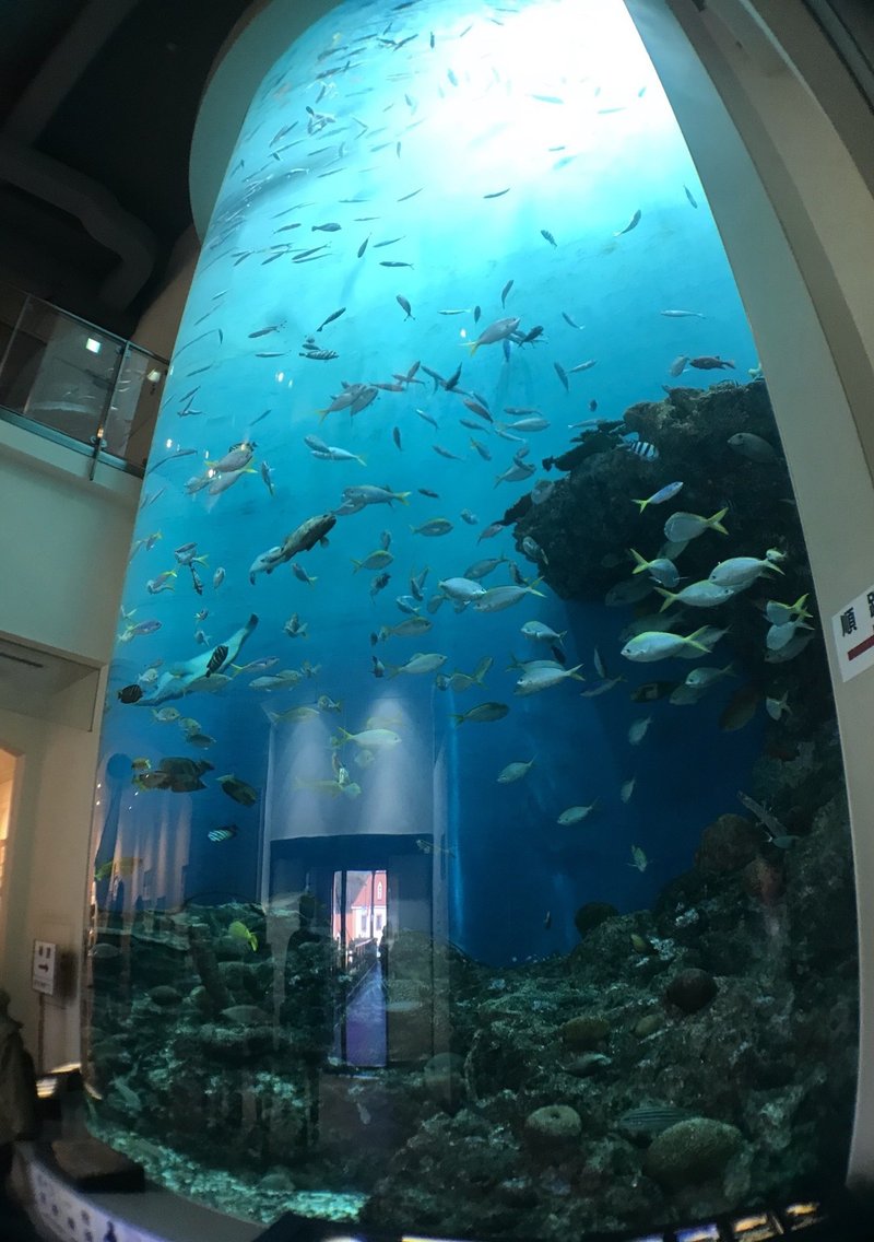 室蘭 登別旅行 登別マリンパークニクス Note 室蘭 登別旅行 登別マリンパークニクス Note