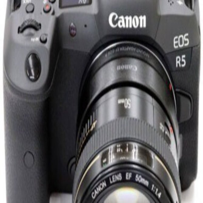 EF50mm f1.4 USM～90年代EFレンズの魅力#1～【3566字】｜西本