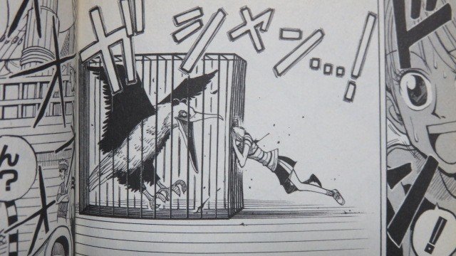 ロマンスドーン (11)