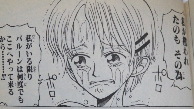 ロマンスドーン (19)