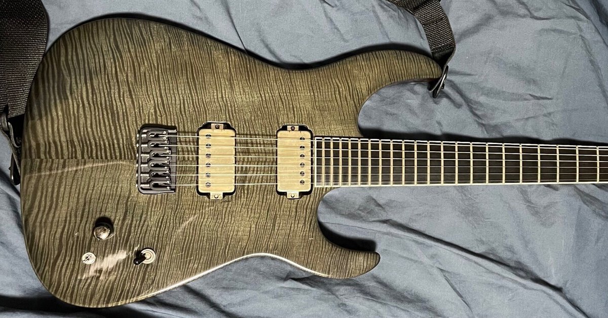 機材紹介(自慢)① Caparison Dellinger II FX-TMM CL-ML50