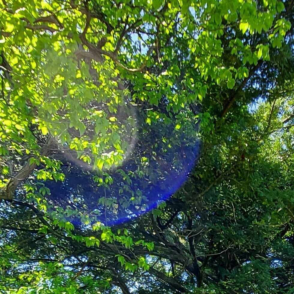 Mippya78 新しい光の意識へ